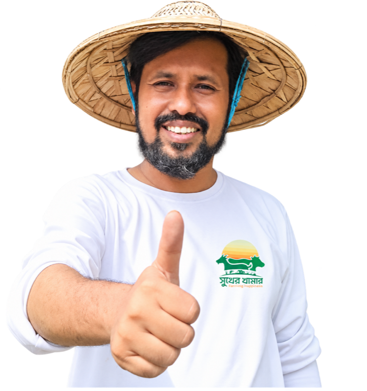জোবায়ের ইসলাম